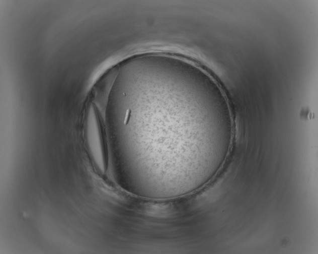 X0000092211501200709281012