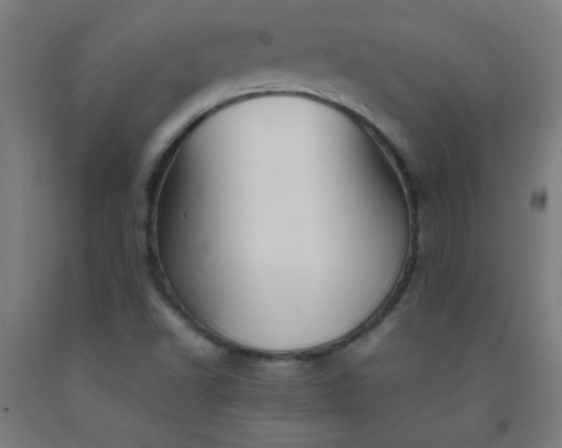 X0000092211502200709281012