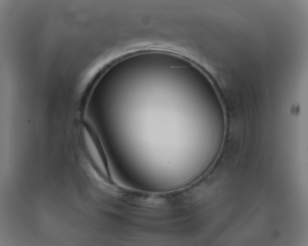 X0000092211503200709281012