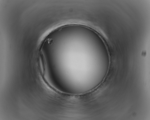 X0000092211504200709281012