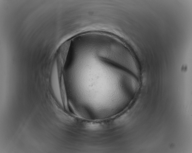 X0000092211505200709281012