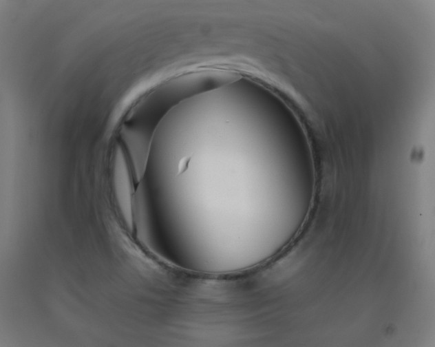 X0000092211506200709281012