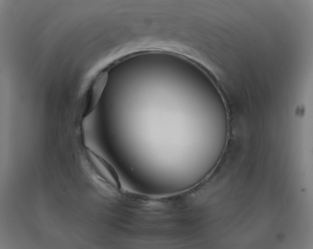 X0000092211507200709281012