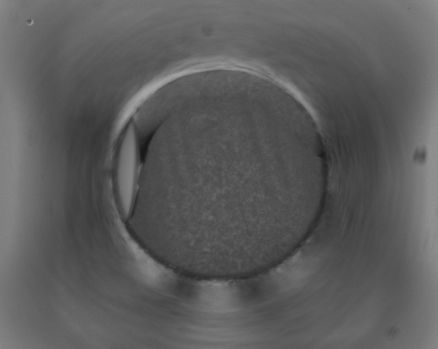 X0000092211508200709281012