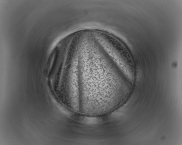 X0000092211509200709281012