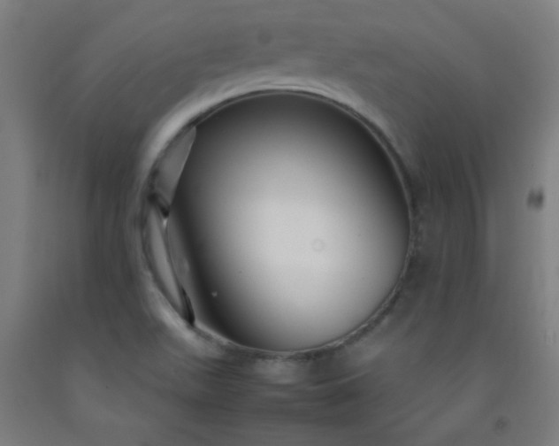 X0000092211511200709281012