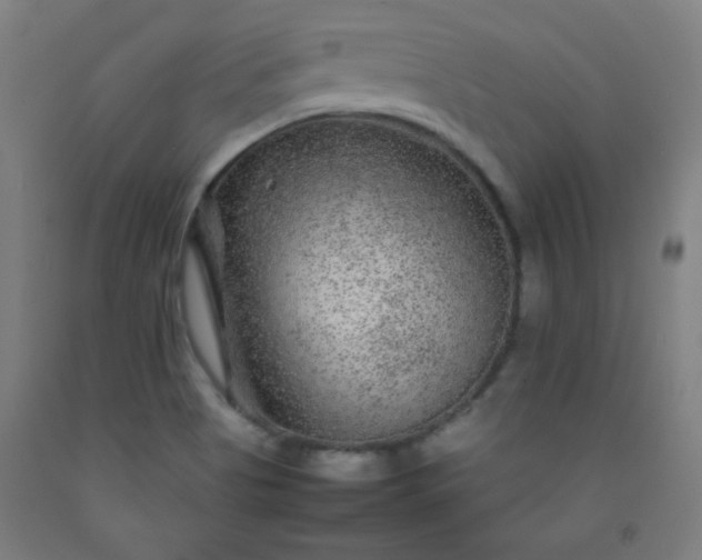 X0000092211513200709281012