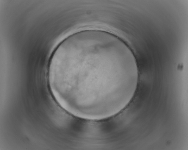 X0000092211514200709281012