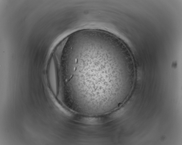 X0000092211517200709281012