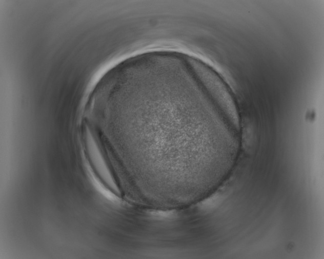 X0000092211519200709281012