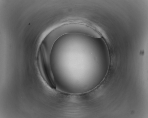 X0000092211520200709281012