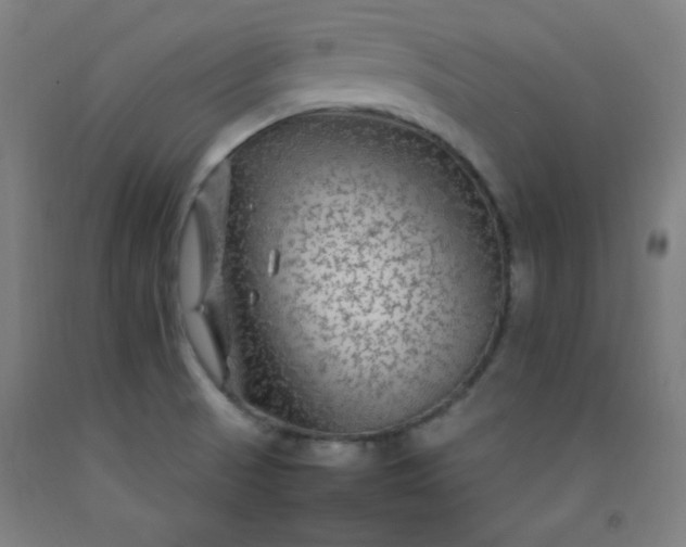 X0000092211521200709281012