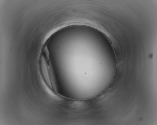 X0000092211523200709281012