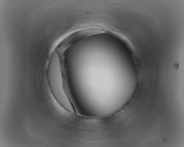 X0000092211524200709281012