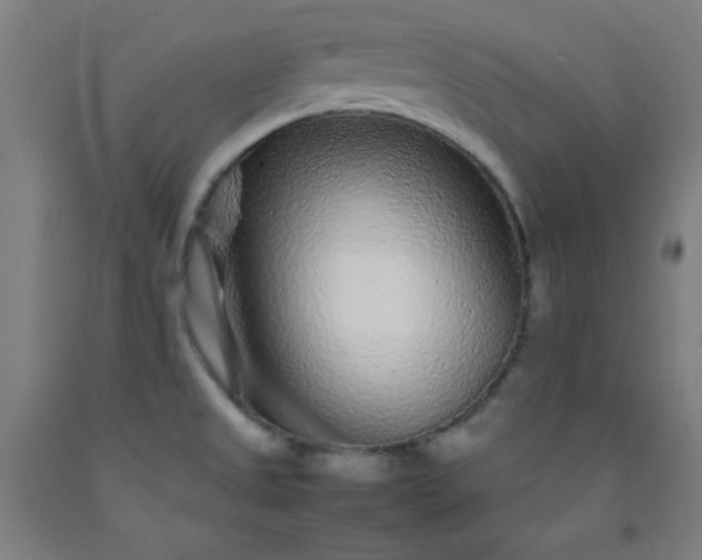 X0000092211525200709281012