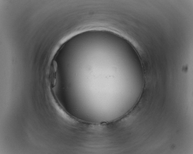 X0000092211526200709281012