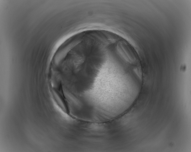 X0000092211527200709281012