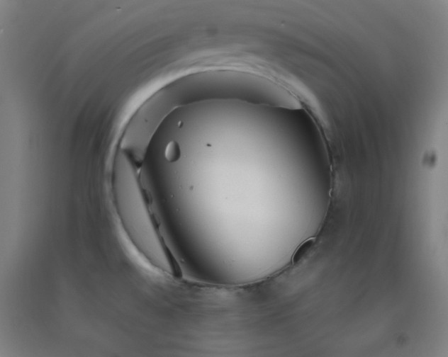 X0000092211528200709281012