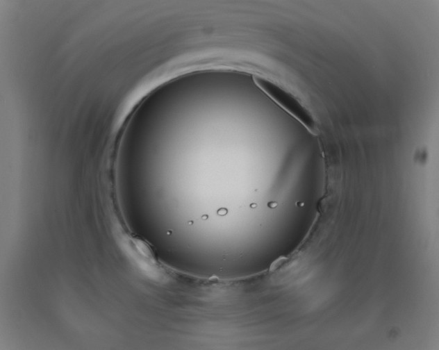 X0000092211530200709281012