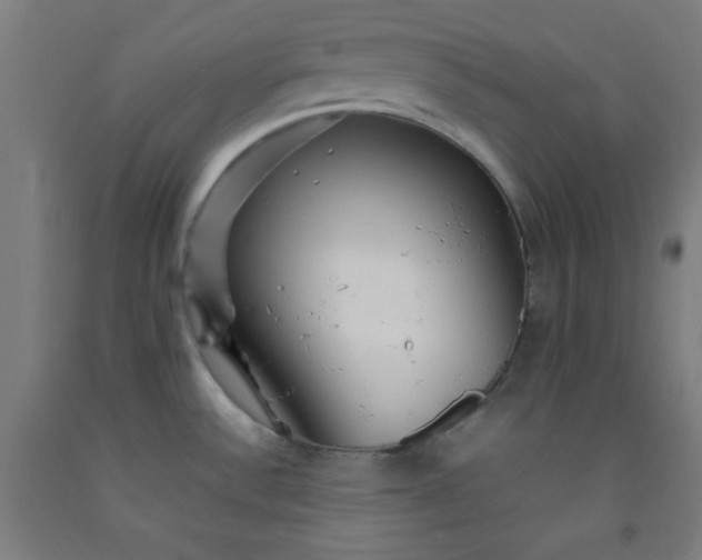 X0000092211532200709281012