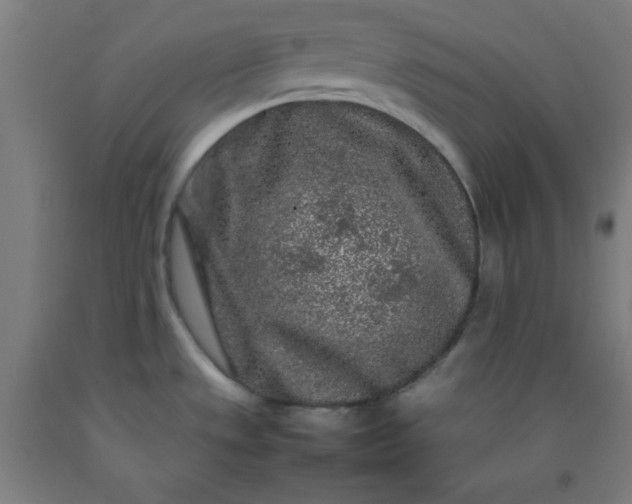 X0000092211533200709281012