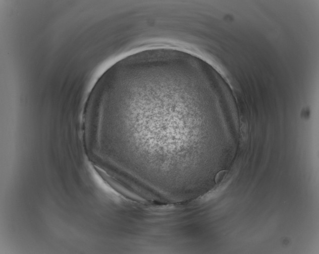 X0000092211535200709281012