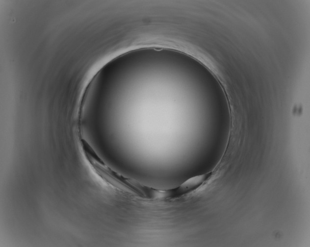 X0000092211536200709281012