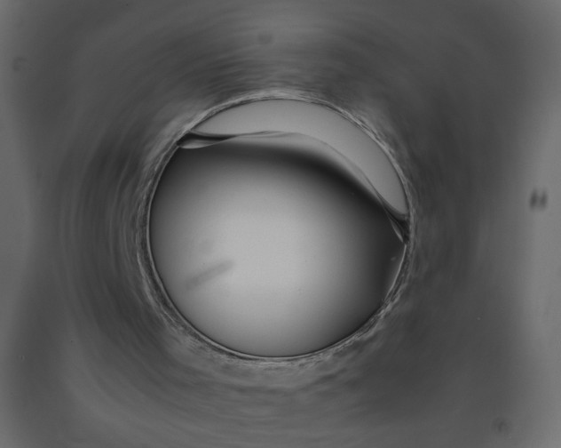 X0000092210001200710051146