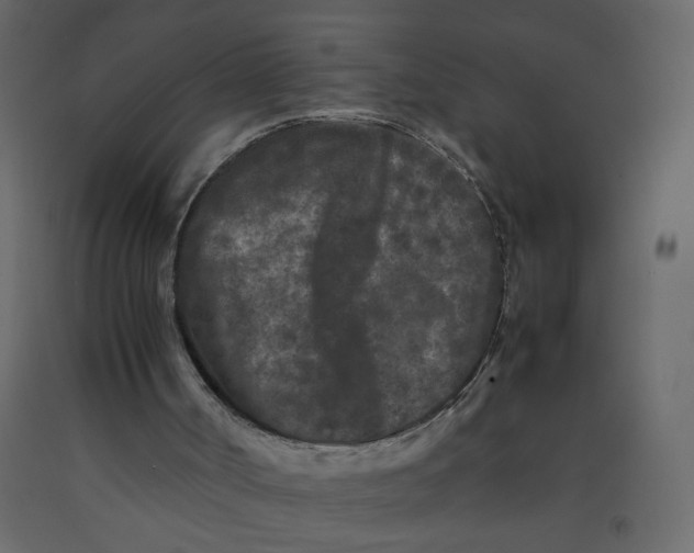X0000092210002200710051146