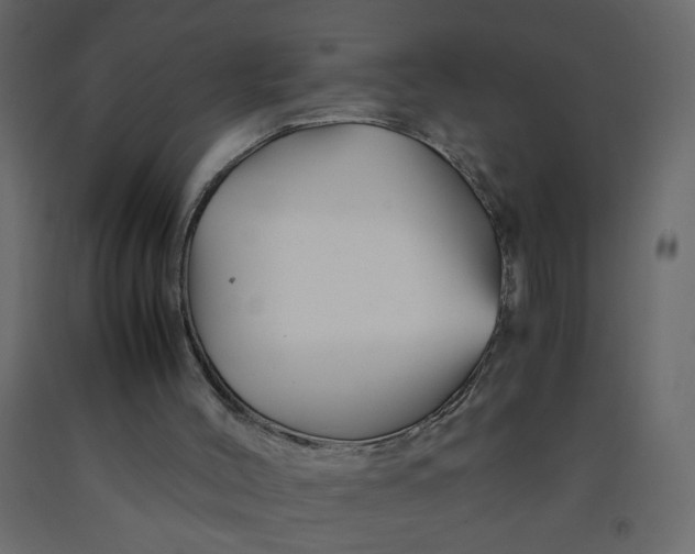 X0000092210004200710051146