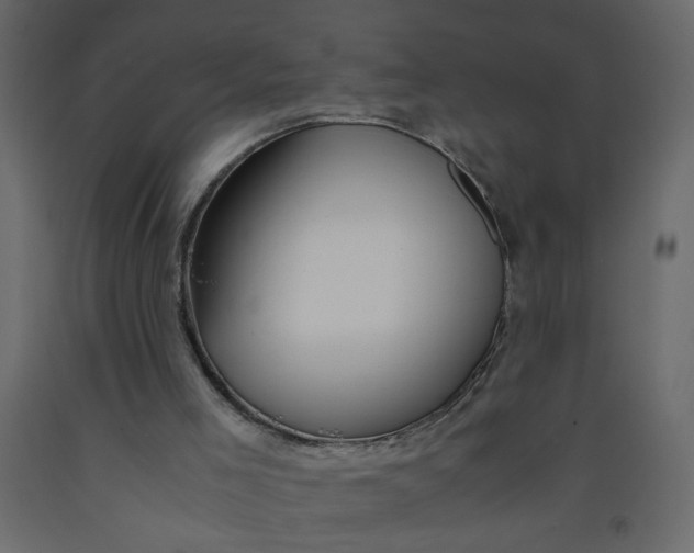 X0000092210005200710051146