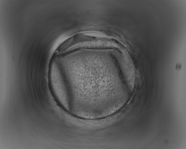X0000092210006200710051146