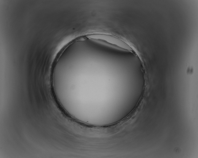 X0000092210008200710051146