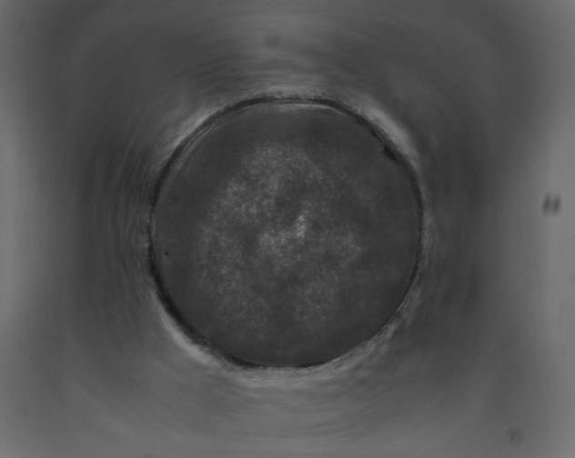 X0000092210009200710051146