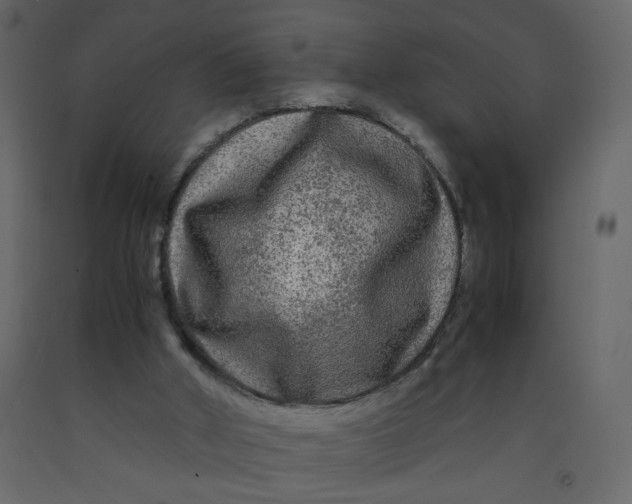 X0000092210010200710051146