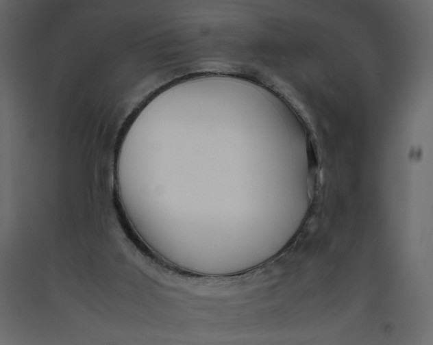X0000092210011200710051146