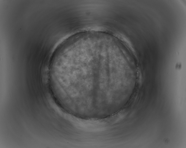 X0000092210012200710051146