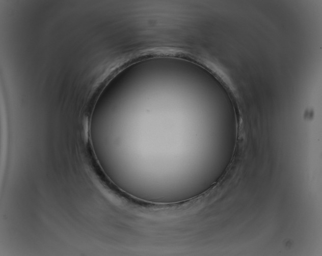 X0000092210013200710051146