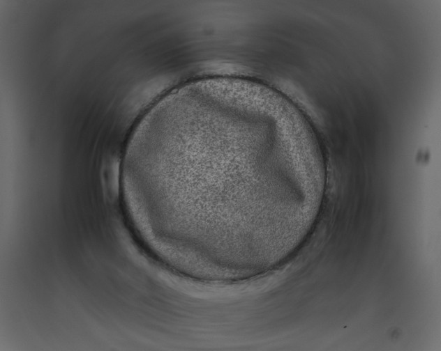 X0000092210014200710051146
