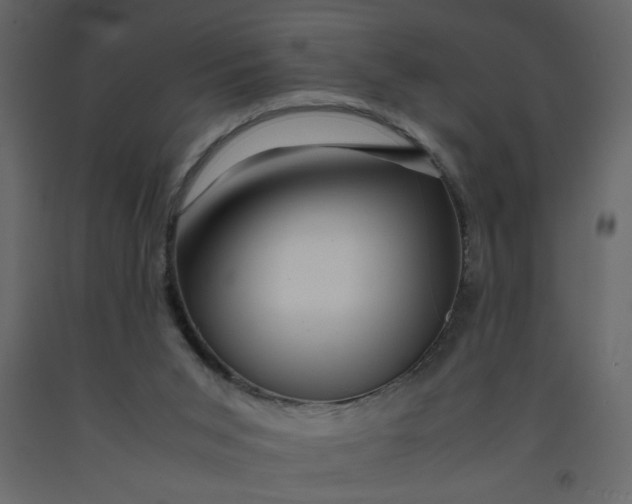 X0000092210015200710051146