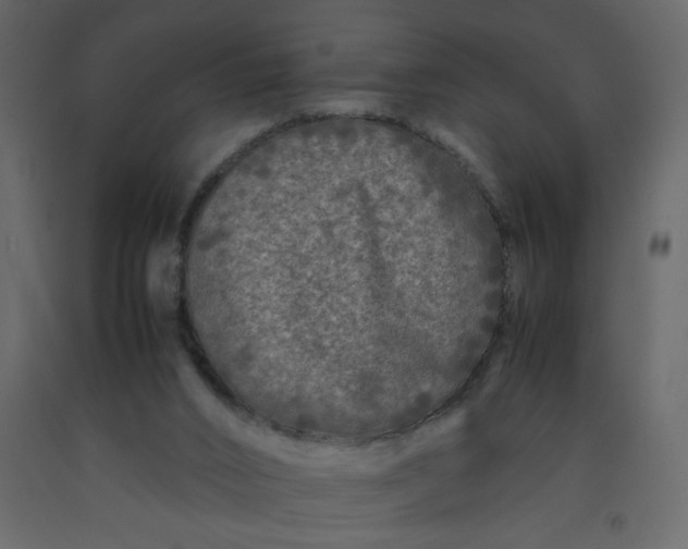 X0000092210016200710051146