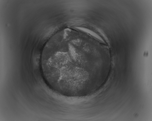 X0000092210018200710051146