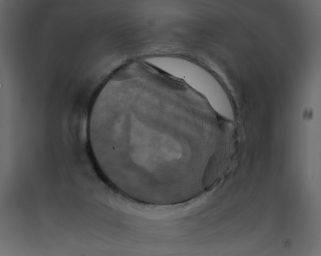 X0000092210019200710051146