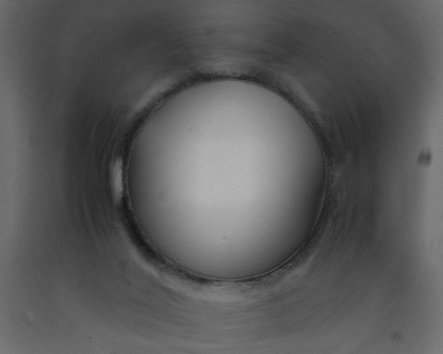 X0000092210020200710051146