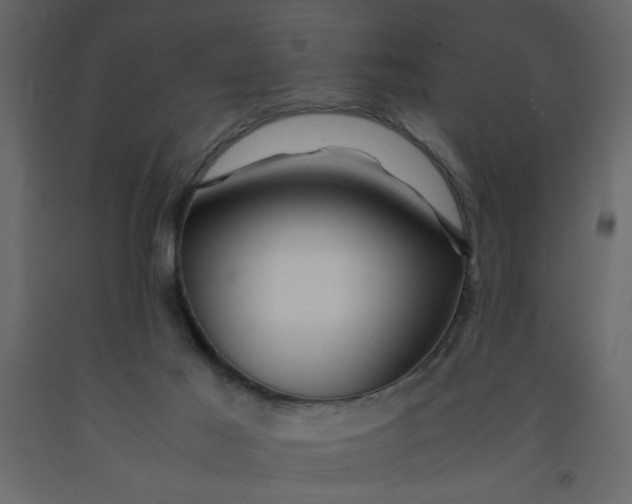 X0000092210021200710051146