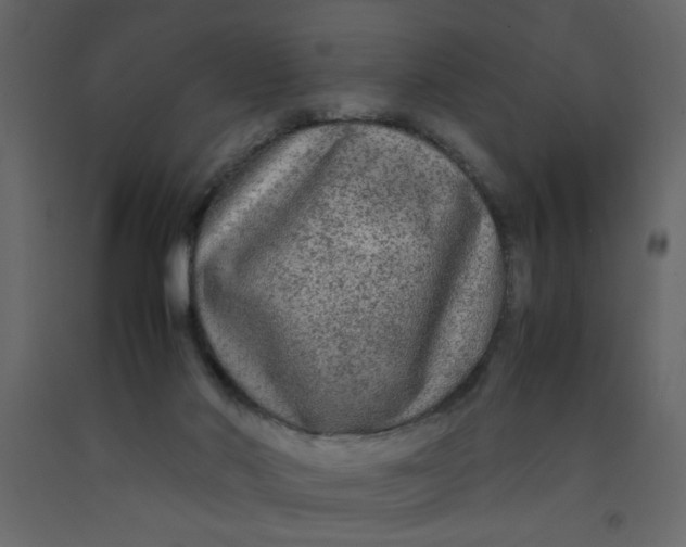 X0000092210022200710051146