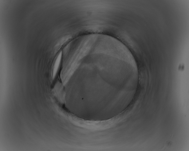 X0000092210023200710051146