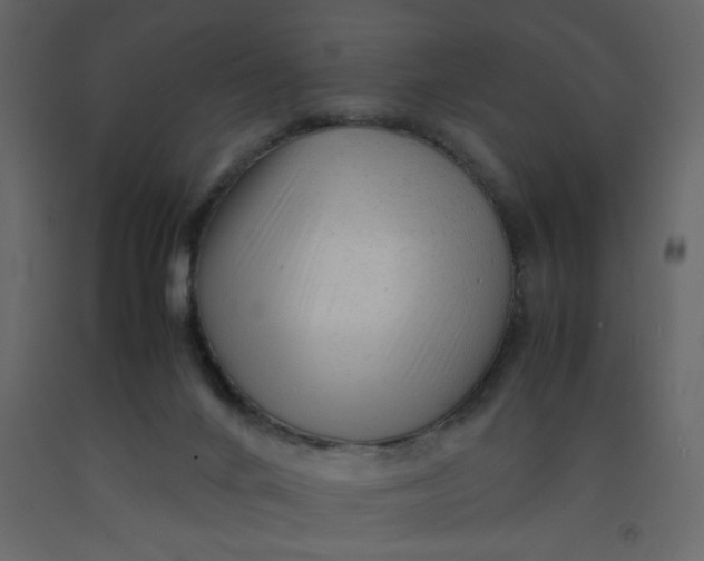 X0000092210024200710051146