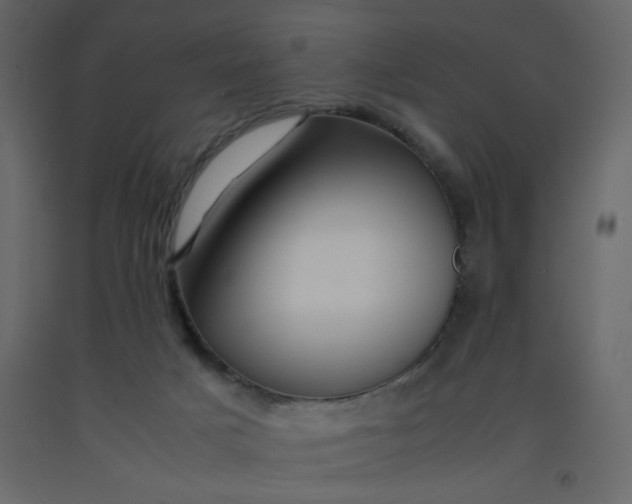 X0000092210025200710051146