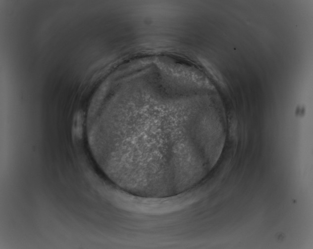 X0000092210026200710051146
